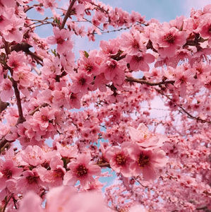 Meet your Posher, Helen